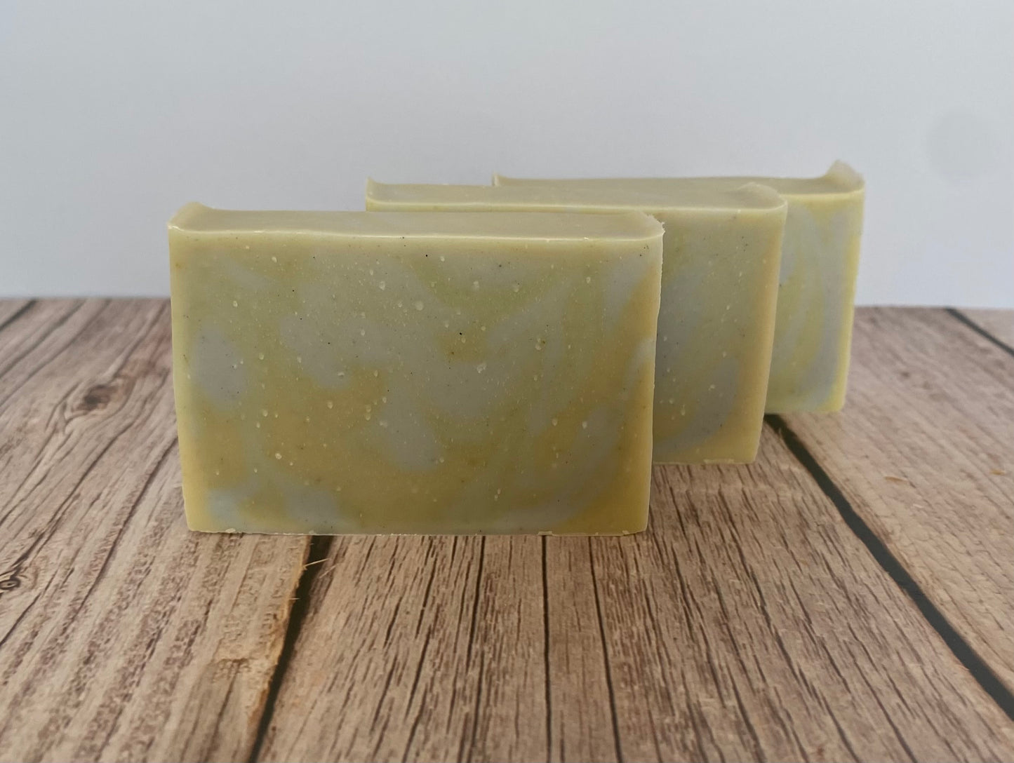 Eucalyptus & Mint - Goat Milk & Tallow Soap